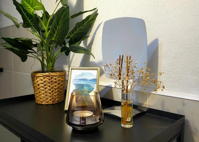 Pons In Barcas Punta Prima Torrevieja